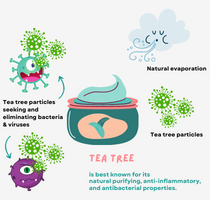 Tea tree purification system